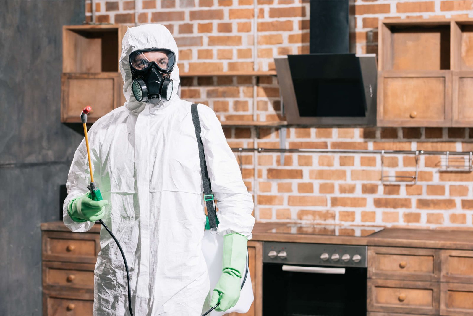 professional pest control in Sydney for Hamro Best Pest Control