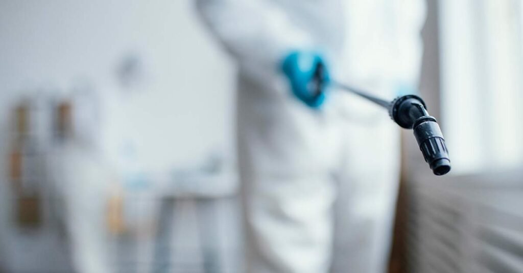 Why Pest Control in Sydney is Important