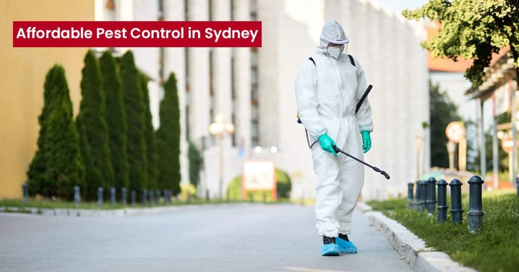 Affordable Pest Control in Sydney: Protect Your Home & Family Today