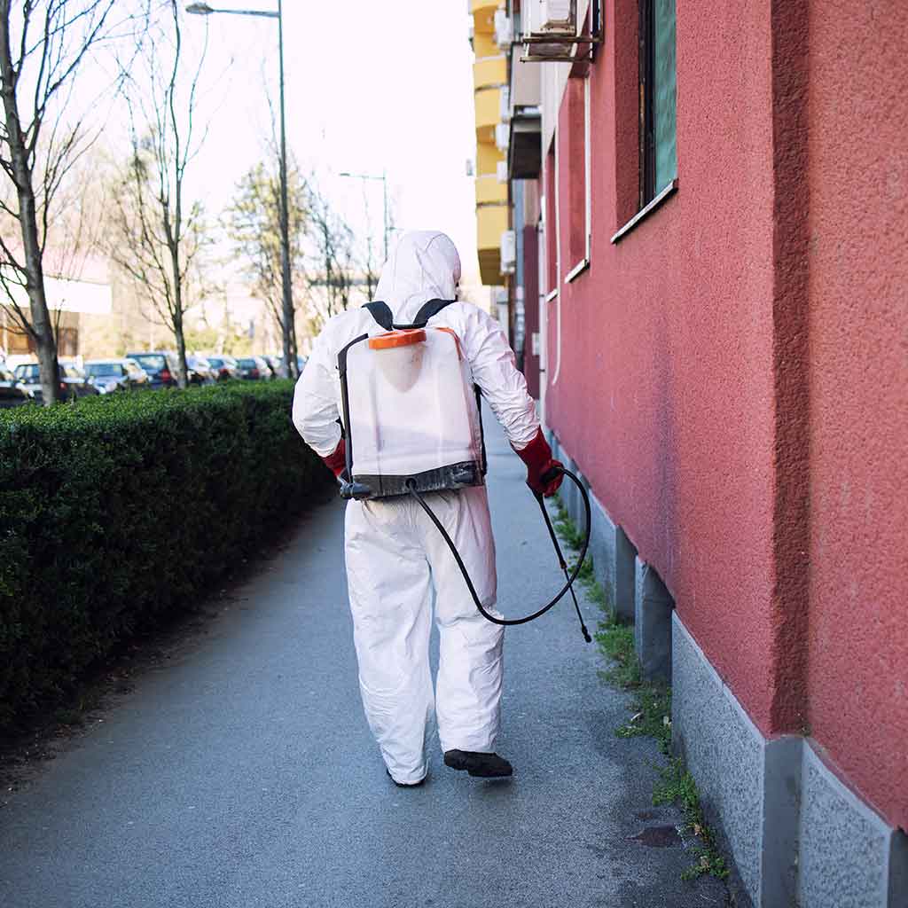 residential pest control Sydney technician inspecting home