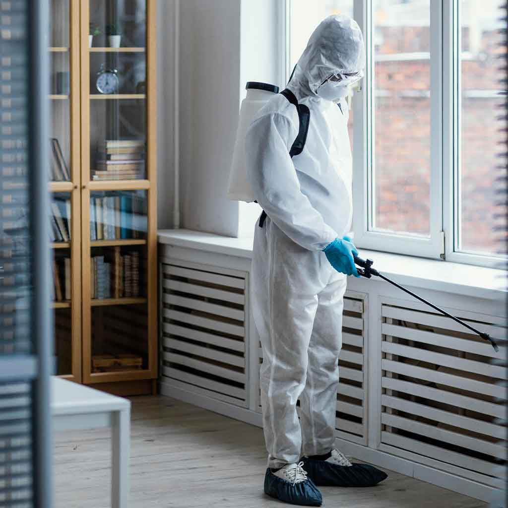 commercial pest control service in sydney, commercial pest control near me
