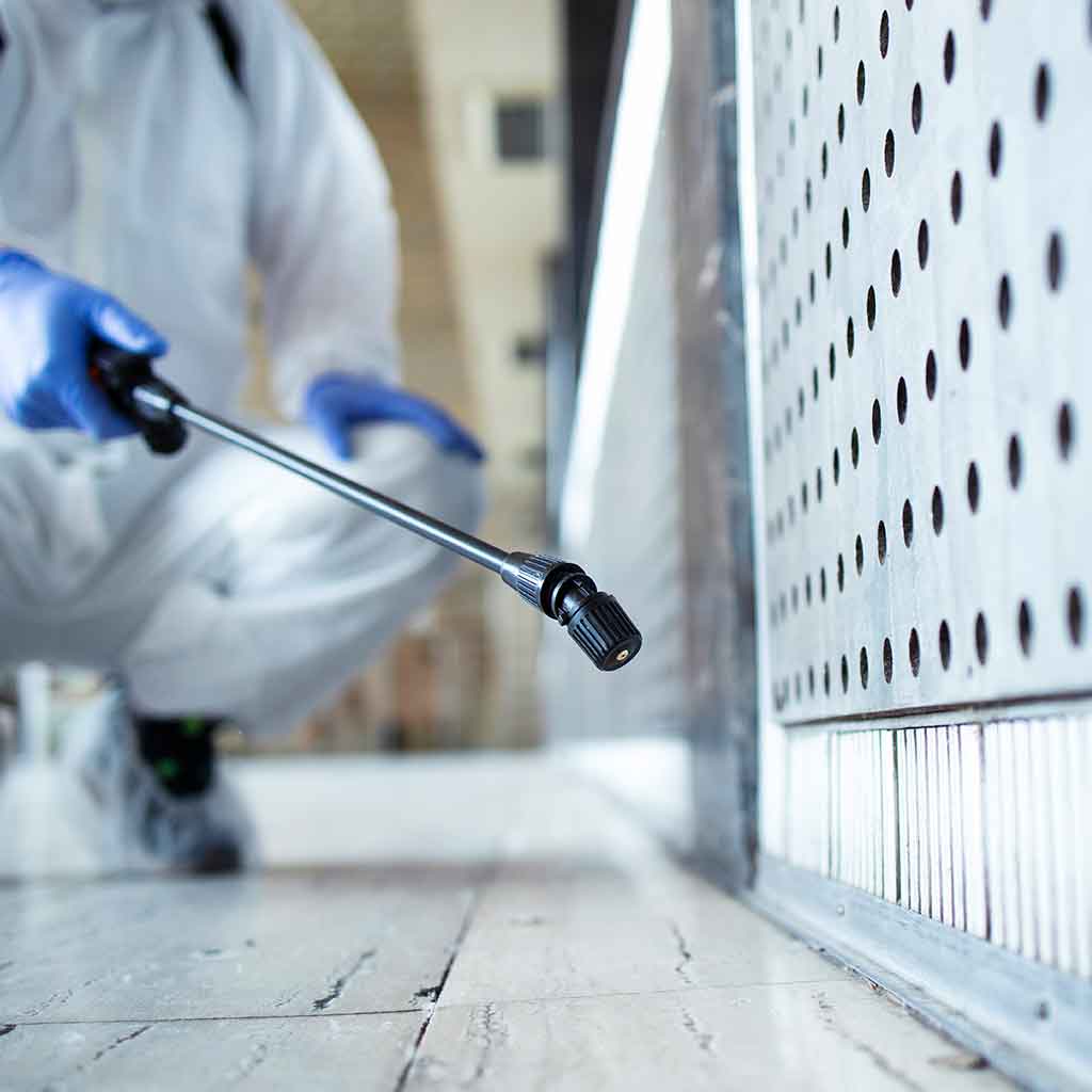 strata pest control treatment service in Sydney by Hamro Best Pest Control