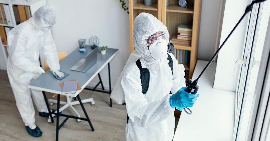 Pest Control Warning: The Hidden Costs of Ignoring Small Pest Problems