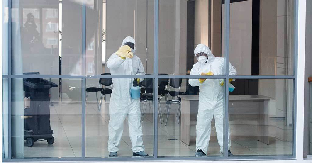Commercial pest control in Sydney professional inspecting business premises and applying safe pest management solutions for long-term protection.