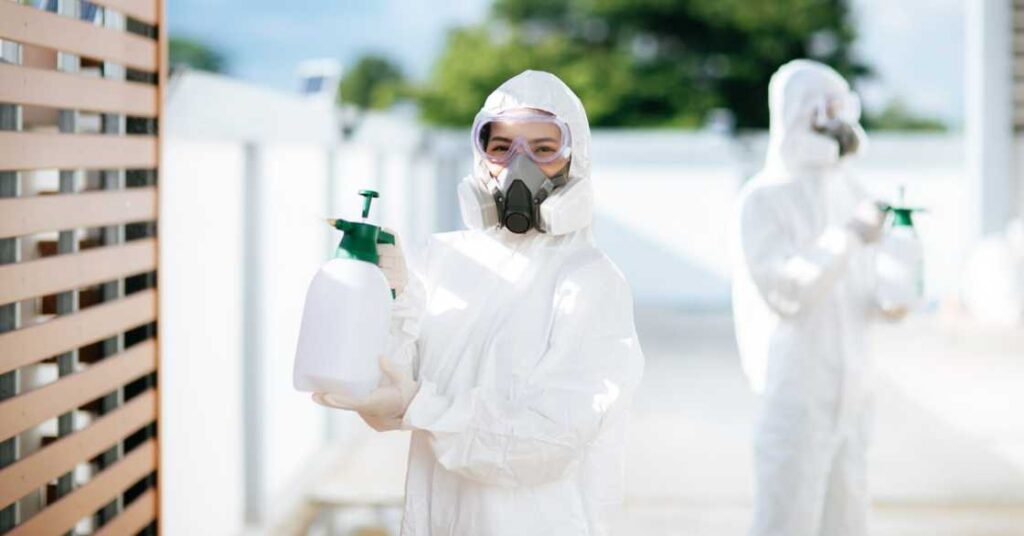 Guide to Seasonal Pest Control for Year-Round Protection