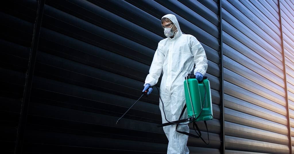 professional pest treatment services by Hamro Best Pest Control in Auburn