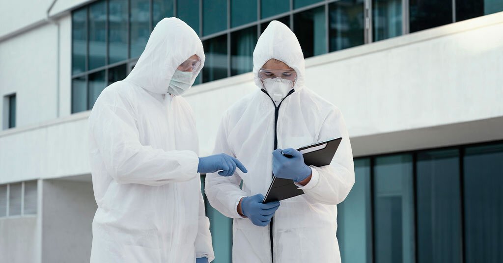 Pest Control in Auburn : Safe & Reliable Pest Management Services