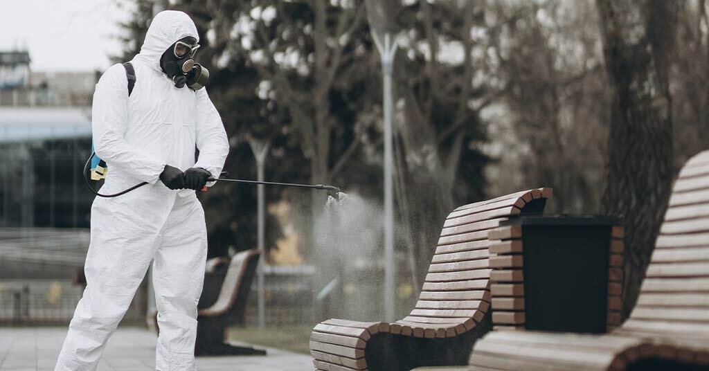 How Routine Pest Control in Sydney Prevents Costly Damage and Saves You Money