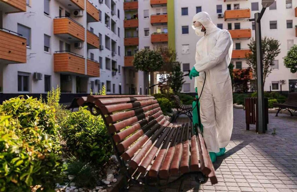Pest control Sydney expert inspecting residential property and applying safe and effective pest treatment solutions for long-term protection.