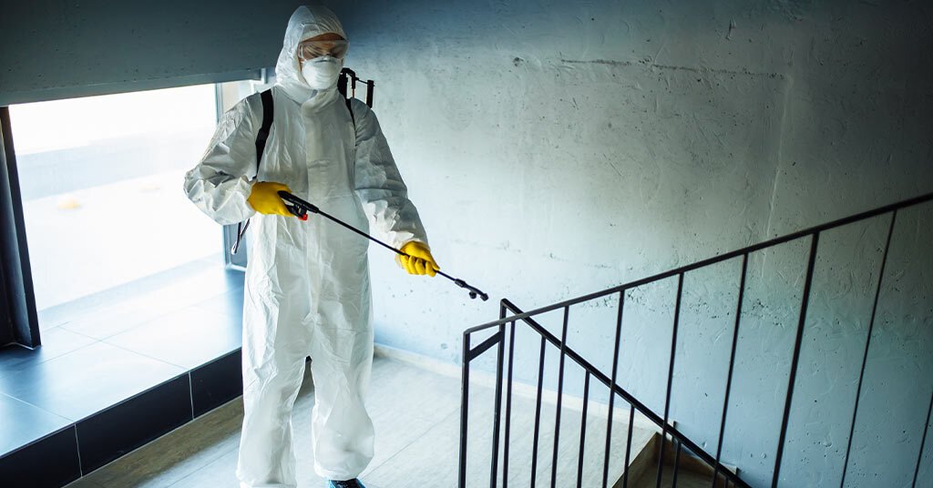 Professional Pest Control in Austral | Hamro Best Pest Control