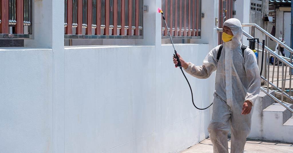 Safe and Effective Residential Pest Control in Sydney