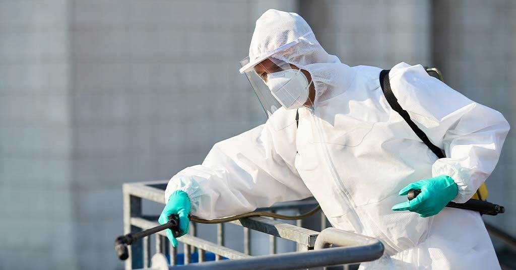 Everyone’s Fixing Strata Pest Issues This Way: Why Aren’t You?