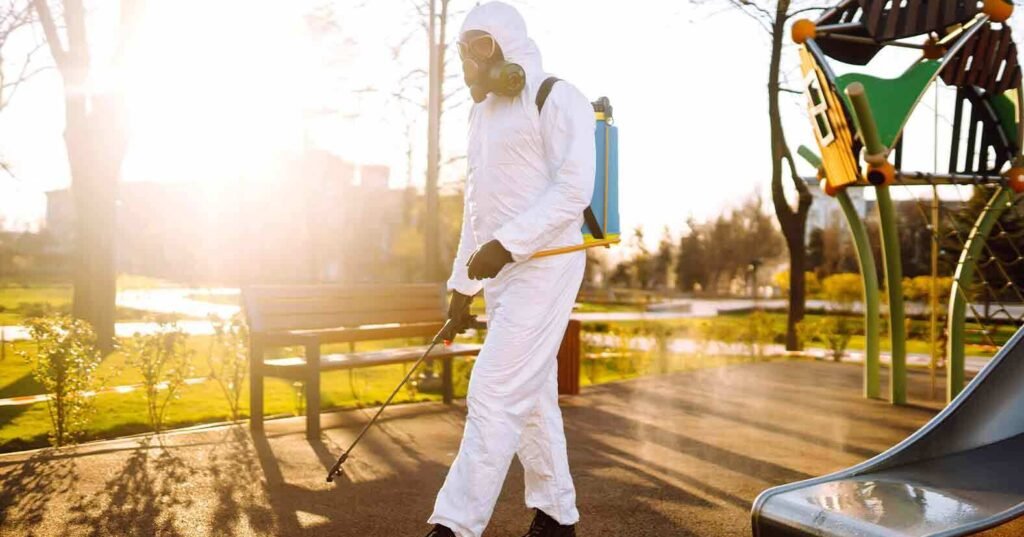 Top 5 Pest Problems in Denham Court Sydney: Hamro Best Pest Control Denham Court Reveals All