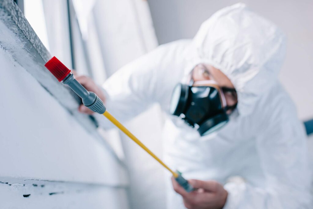 Licensed technician from Hamro Best Pest Control performing professional pest control austral service at a residential property.