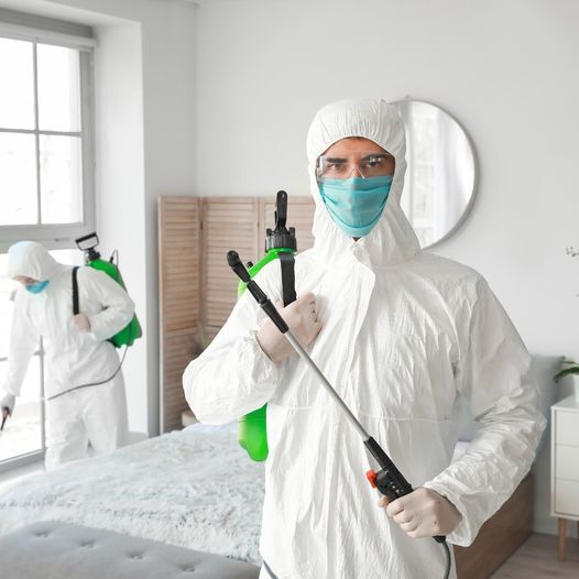 Technician performing residential pest control Cabramatta treatment in a home to remove cockroaches, ants, rodents and termites