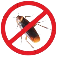 cockroach-pest-control