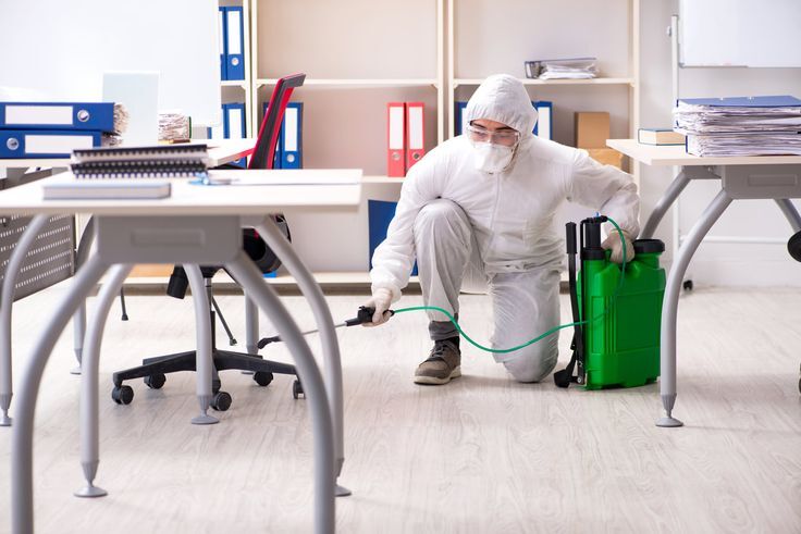 Technician performing commercial pest control Cabramatta treatment inside a restaurant kitchen to prevent cockroaches and rodents