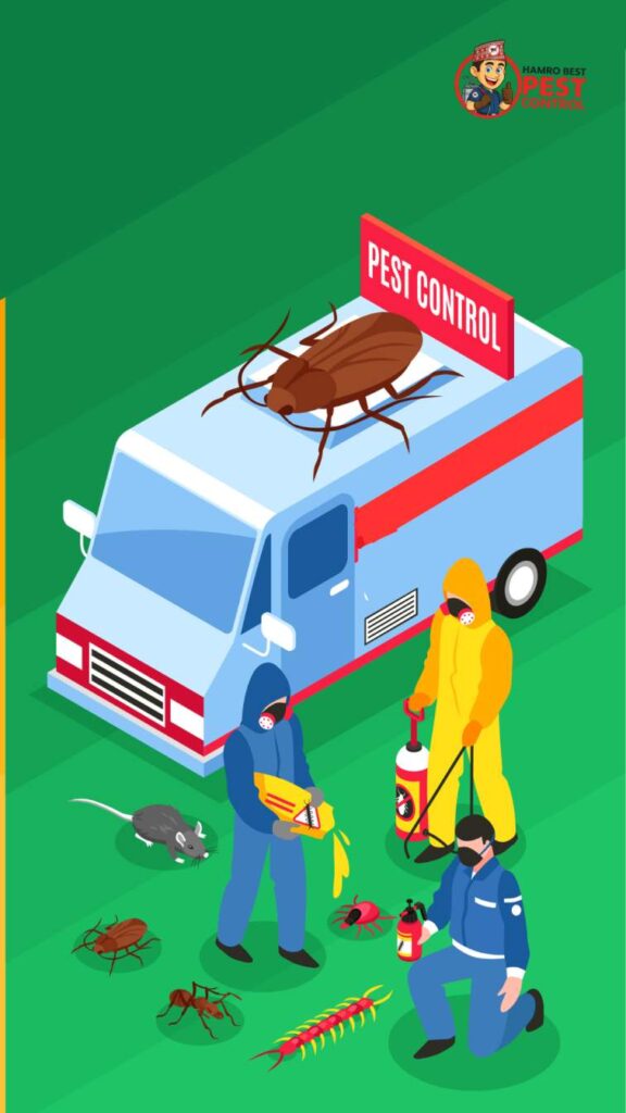 pest control burwood home pest treatment