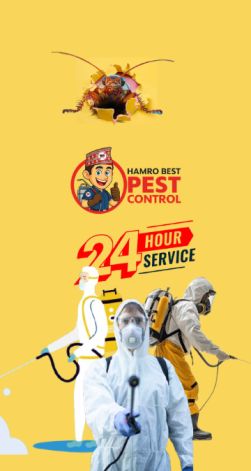 Call pest control Marrickville for fast and reliable pest removal services