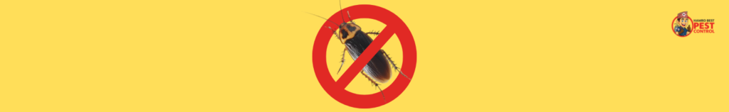 cockroach pest control