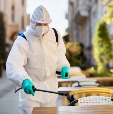 pest control Lidcombe technician spraying kitchen area