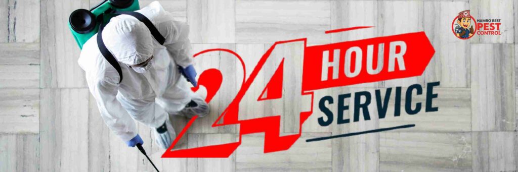 Professional pest control Sydney price with safe and effective treatment
