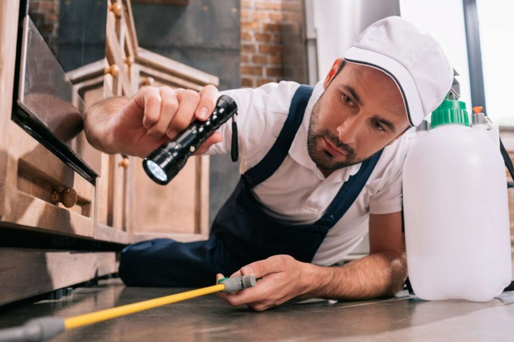Pest inspection technician checking home for termites