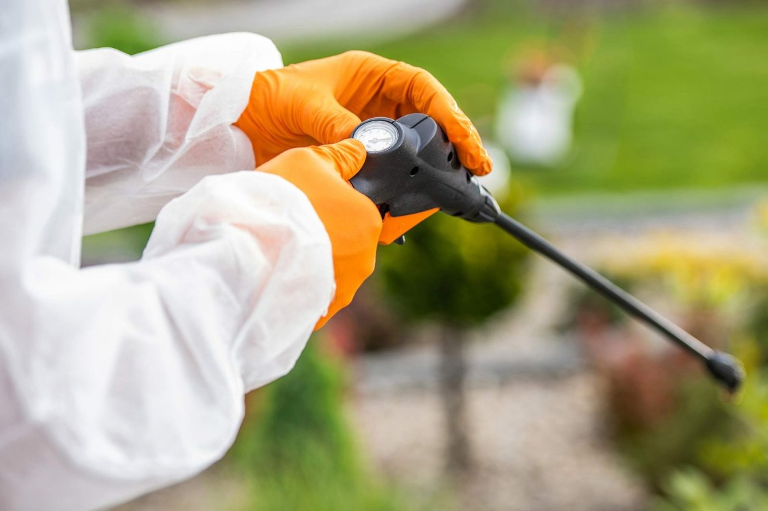 Pest control Liverpool NSW services page link for more pest control options by Hamro best pest control
