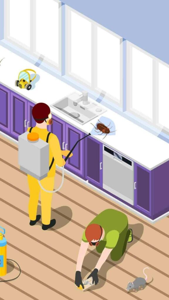 Affordable pest control Sydney price for home and business services