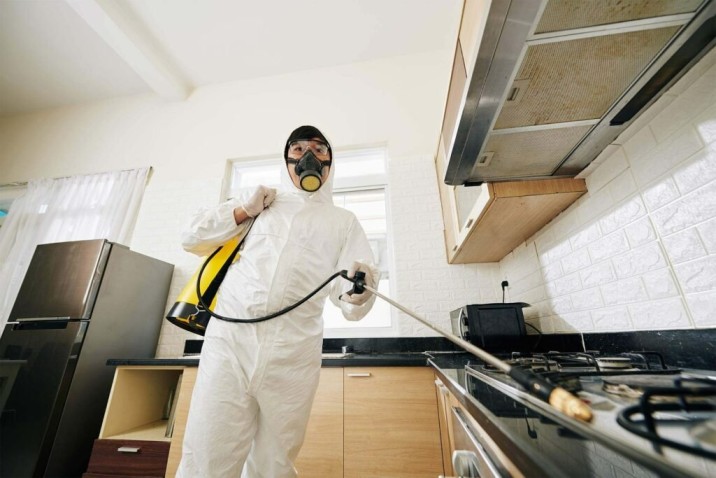 local pest control Austral NSW affordable and reliable service