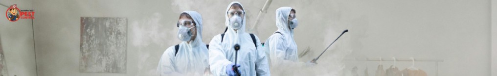 end of least pest control