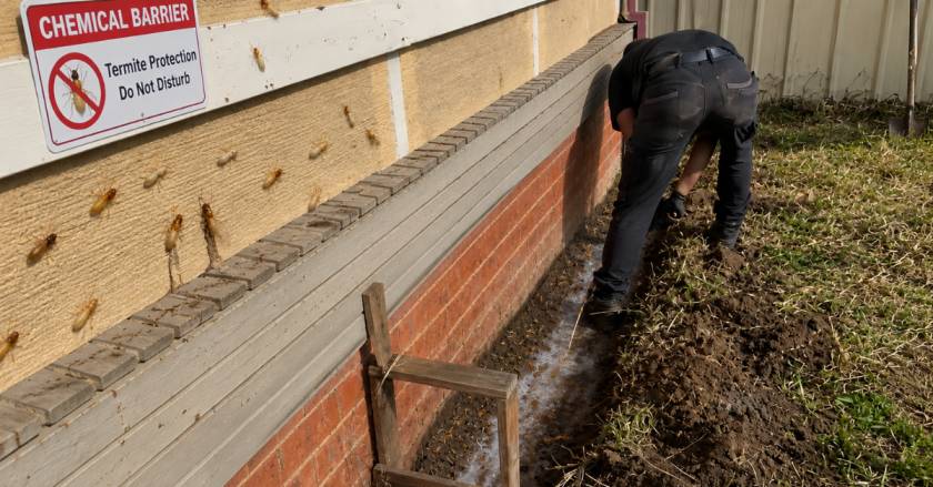 Technician installing a chemical barrier termites around a home foundation to prevent termite entry and protect the property from infestation.