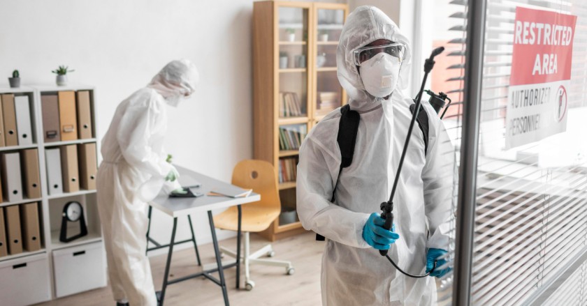 insecr exterminator pest control