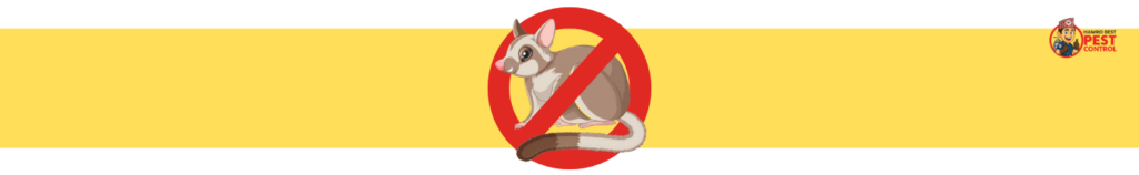 Professional possum removal service in Strathfield helping protect homes from unwanted wildlife.