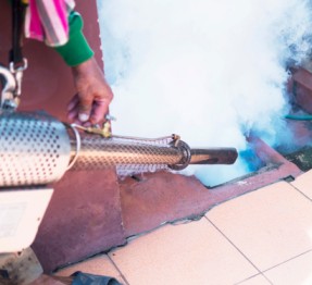 strata pest control smoke treatment by professional