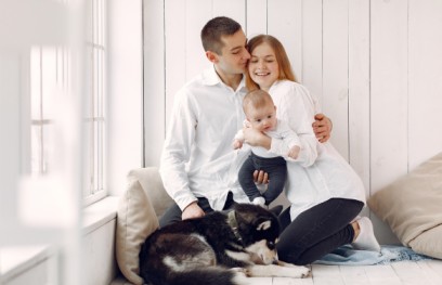 Eco-friendly pest management services in Guildford.