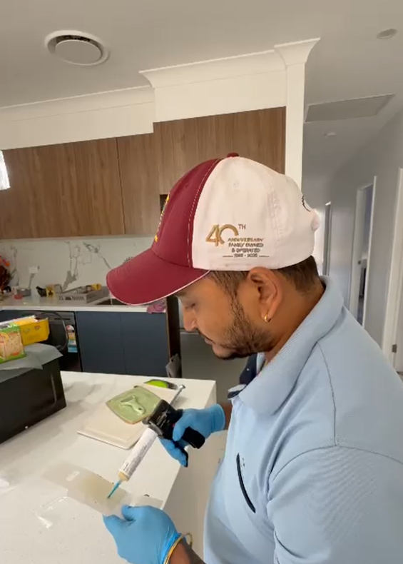 Professional pest control technician inspecting a residential property in Newington, Sydney.