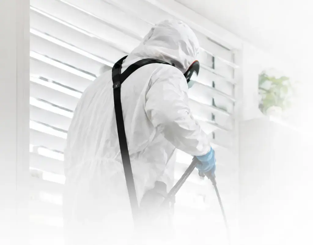 Professional pest control treatment in Regents Park for residential and commercial properties