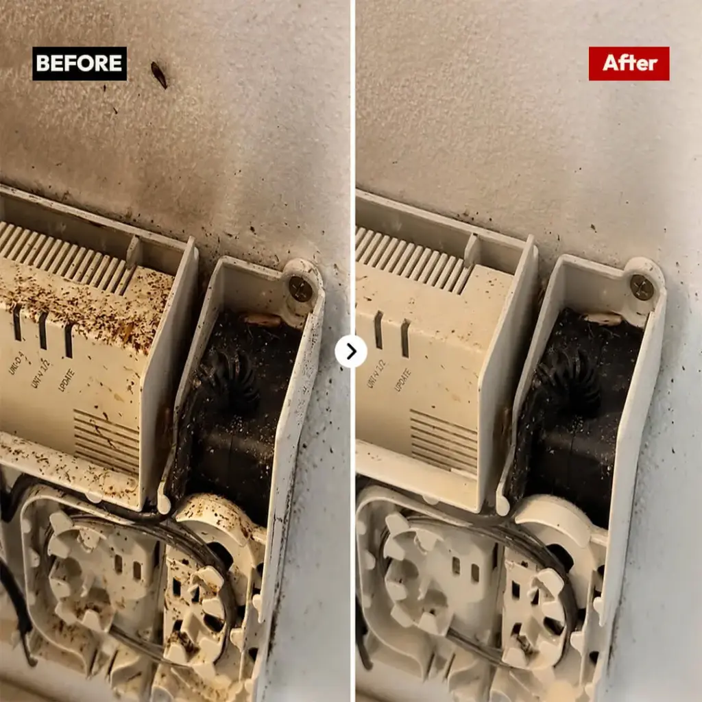 Before and after cockroach droppings and egg case cleanup around electrical housing by Hamro Best Pest Control
