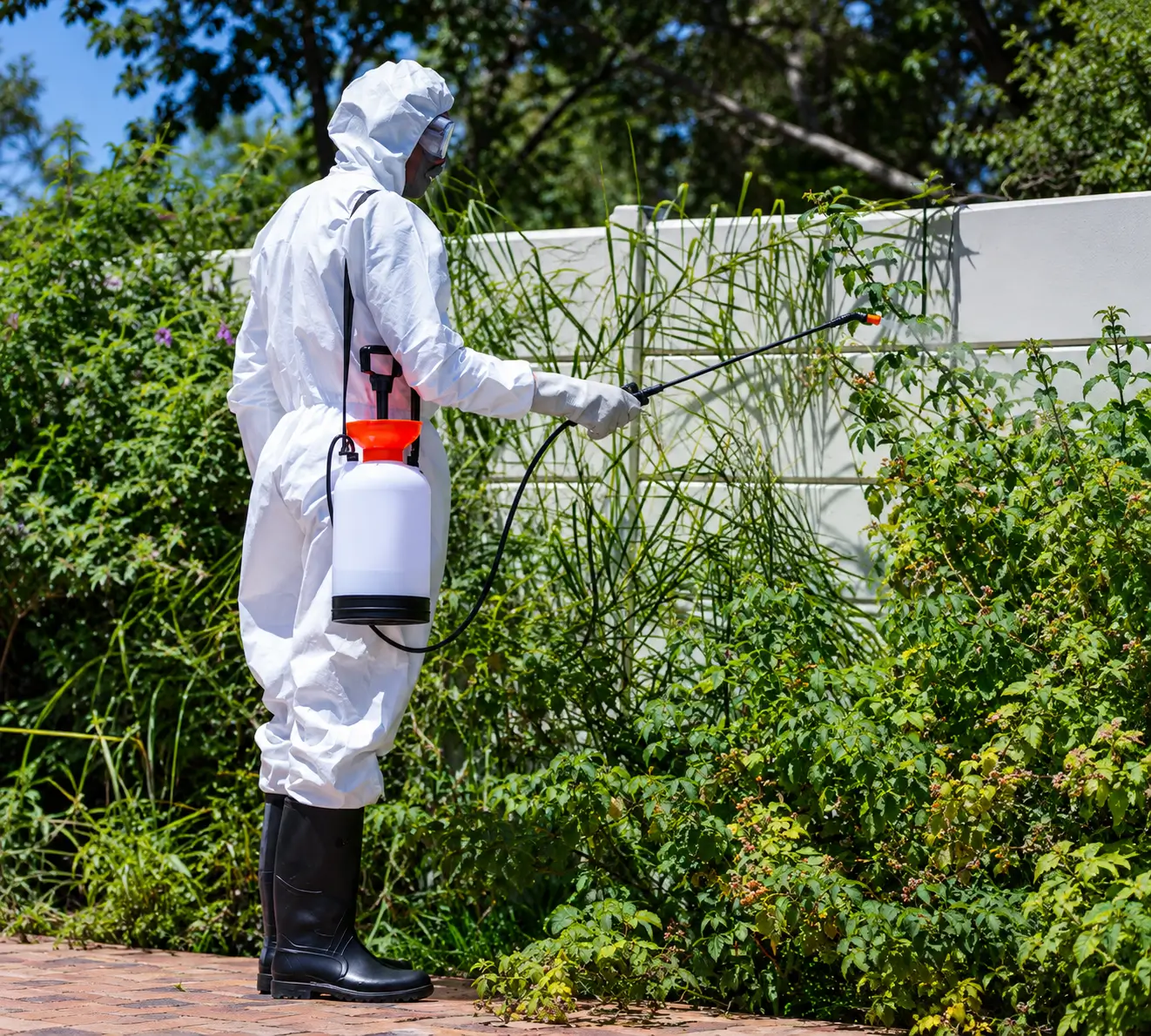 Professional pest control services in Silverwater