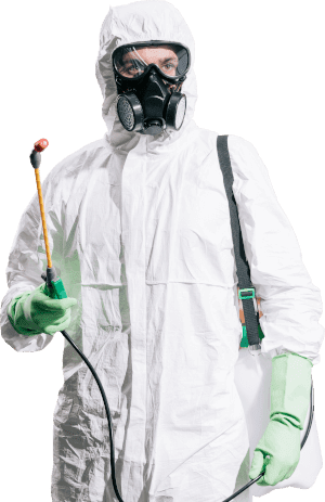 Professional pest inspection service inside residential property