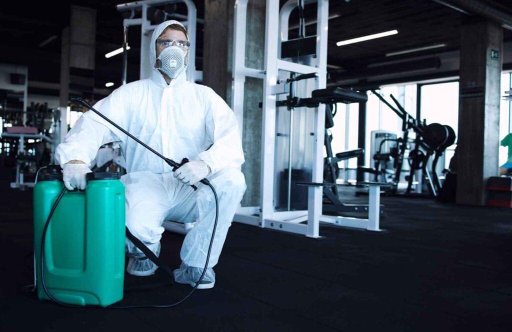 construction pest control in Sydney