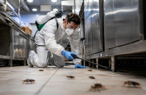 Professional pest control technician spraying cockroaches in a commercial kitchen with stainless steel equipment and tiled flooring.