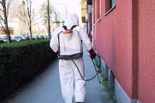 residential pest control service treatment in parramatta – Hamro Best Pest Control