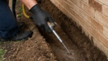 chemical application in soil for chemical barrier termites