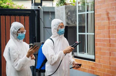 Commercial pest control in Sydney professional inspecting business premises and applying safe pest management solutions for long-term protection.