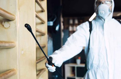 end of lease pest control service by hamro best pest control