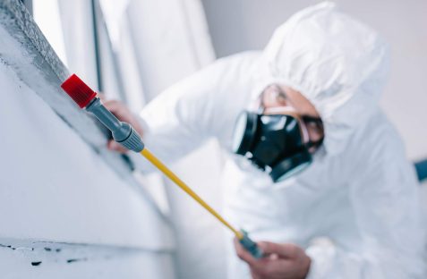 Licensed technician from Hamro Best Pest Control performing professional pest control austral service at a residential property.