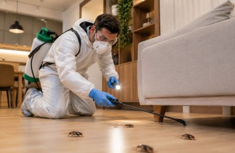 Pest control technician treating cockroach infestation near a sofa in a modern residential living room.