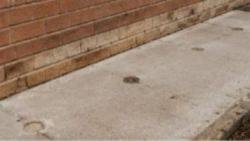 sealing holes and cleanup for chemical barrier termites